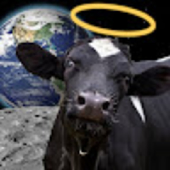 Meet your Posher, Haley - Picture 1 of 1